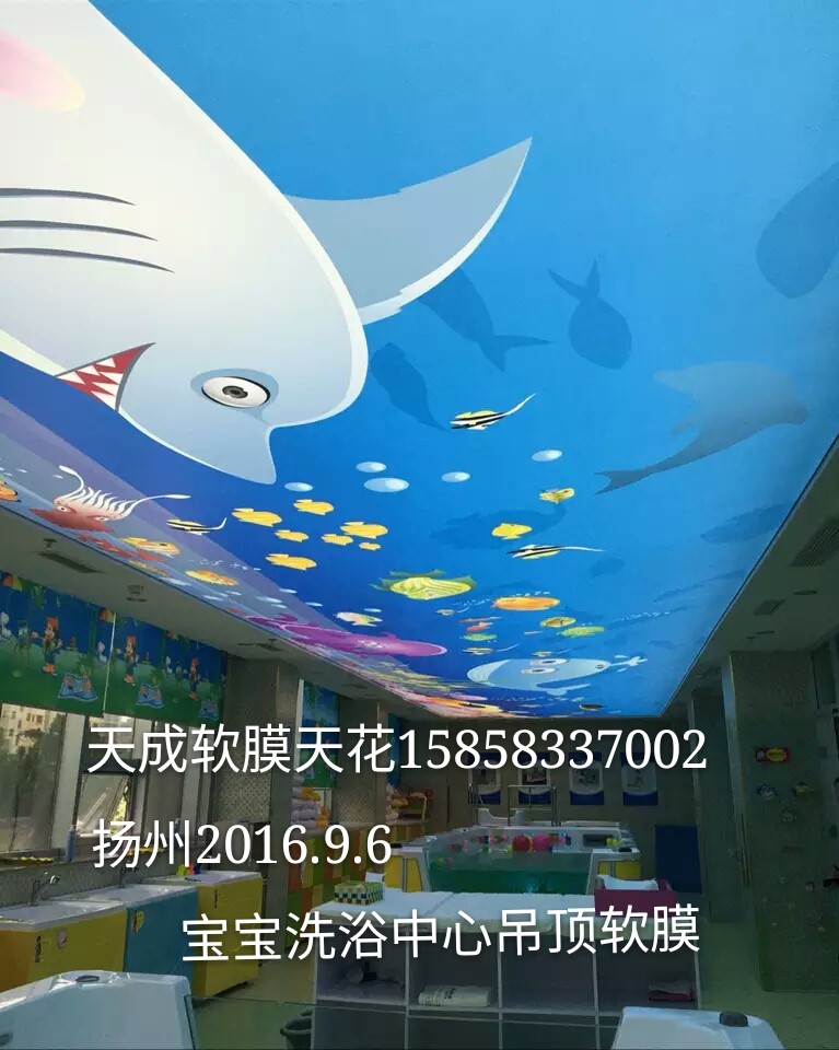 松江可定做透光膜燈箱=燈箱拉膜=噴繪膜 天成軟膜天花廠家圖片_高清圖_細節(jié)圖-天成軟膜天花裝飾材料 -