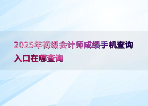 2025年初級會計師成績手機查詢入口與信息技術咨詢服務指南